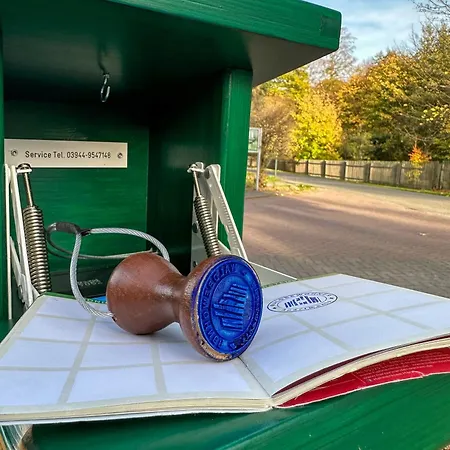 Waldbewohner / Fuchs Ilsenburg (Harz)