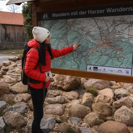 Waldbewohner / Fuchs * Ilsenburg