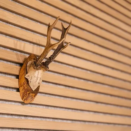 Waldbewohner / Fuchs Apartamento