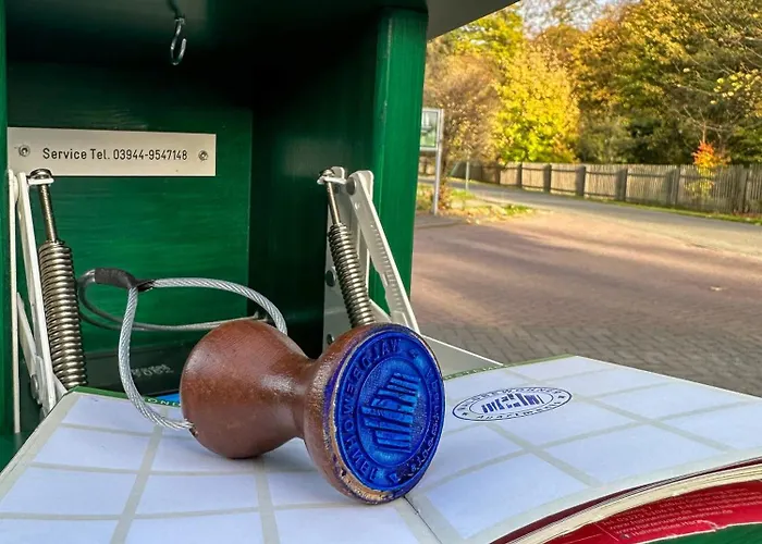 Waldbewohner / Fuchs Ilsenburg