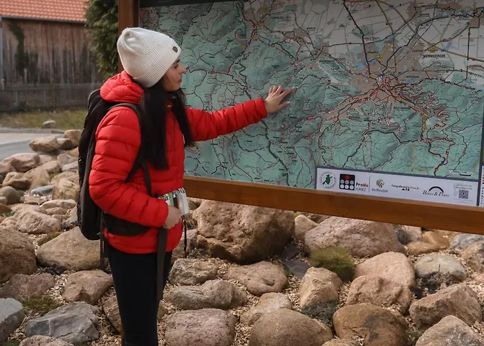 Waldbewohner / Fuchs * Ilsenburg