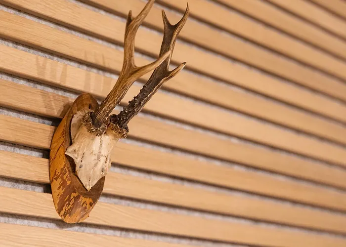 Waldbewohner / Fuchs Apartmán